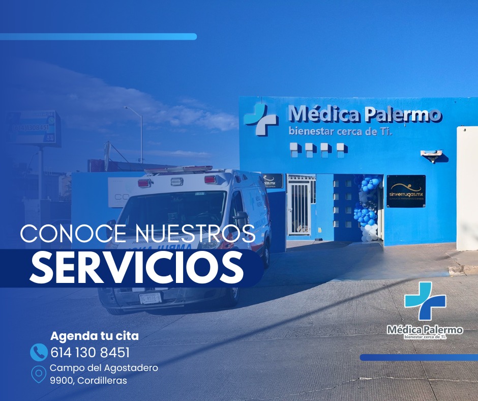 Conoce nuestros servicios